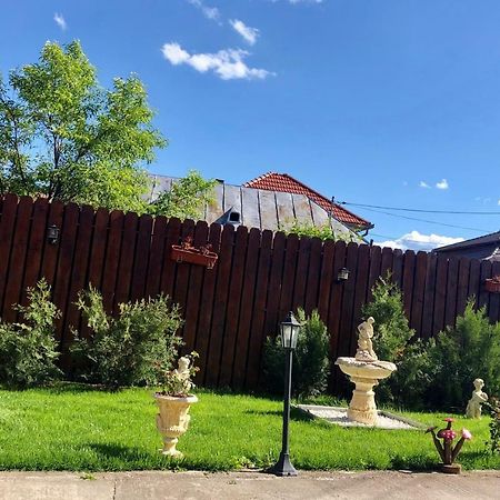 Готель Casa Alexia Хацег Екстер'єр фото